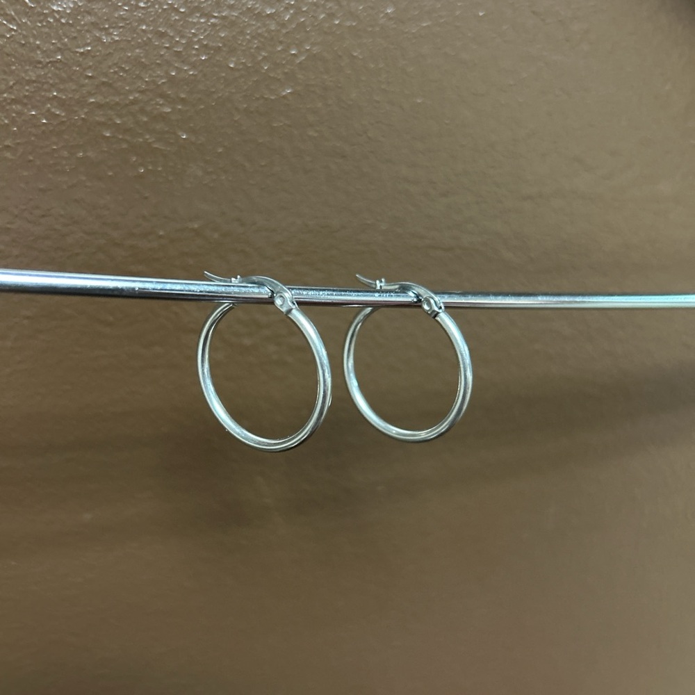 DANA | Stainless Steel Hoops